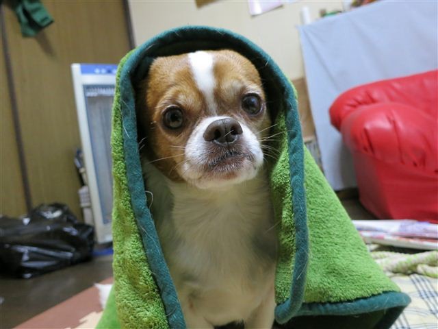 20130124173814