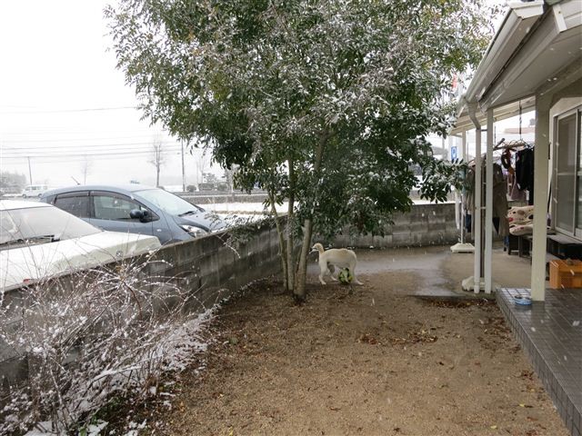 f:id:yasukazu01:20130125095237j:image