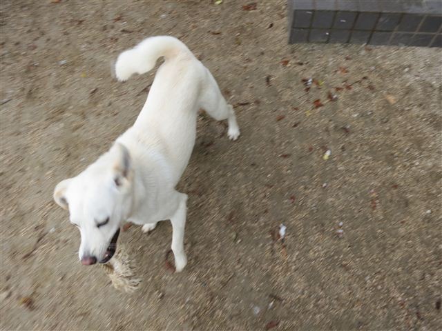 f:id:yasukazu01:20130125095257j:image