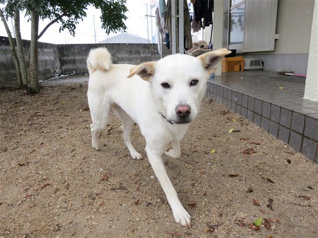 f:id:yasukazu01:20130125095455j:image