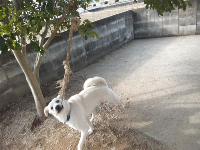 20130127101859