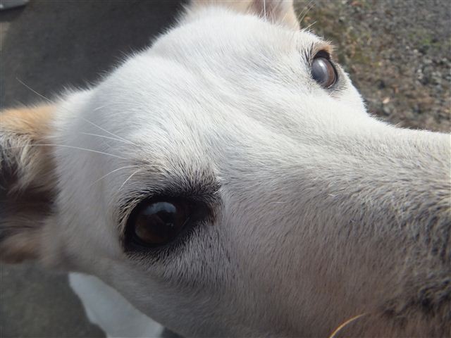 f:id:yasukazu01:20130127220751j:image