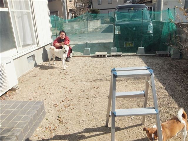 20130128121738