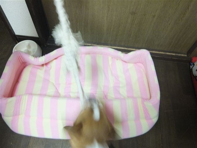 f:id:yasukazu01:20130201181706j:image