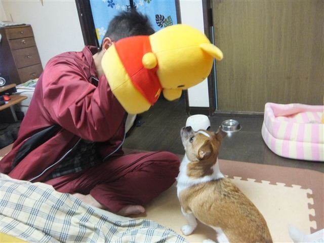 f:id:yasukazu01:20130201220115j:image