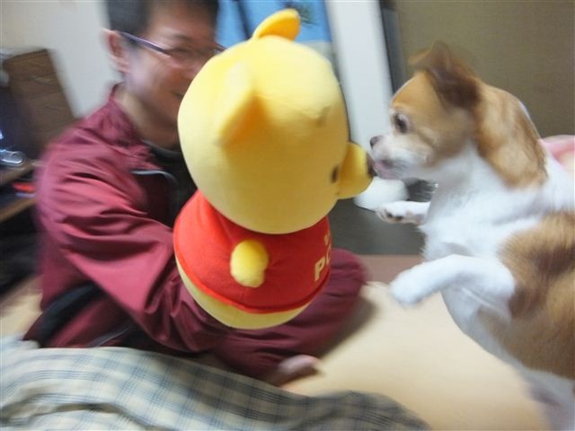 f:id:yasukazu01:20130201220137j:image