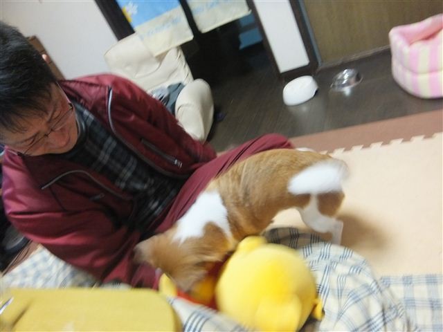 f:id:yasukazu01:20130201220205j:image