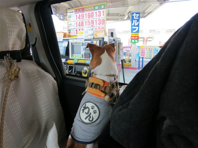 f:id:yasukazu01:20130203100526j:image