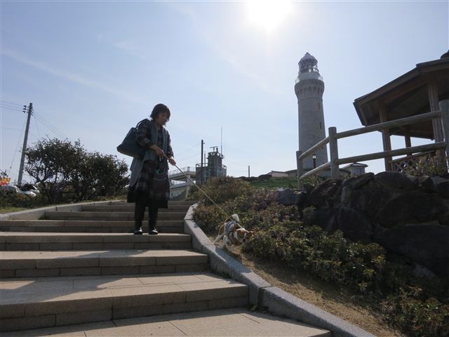 f:id:yasukazu01:20130203114515j:image f:id:yasukazu01:20130203114515j:image