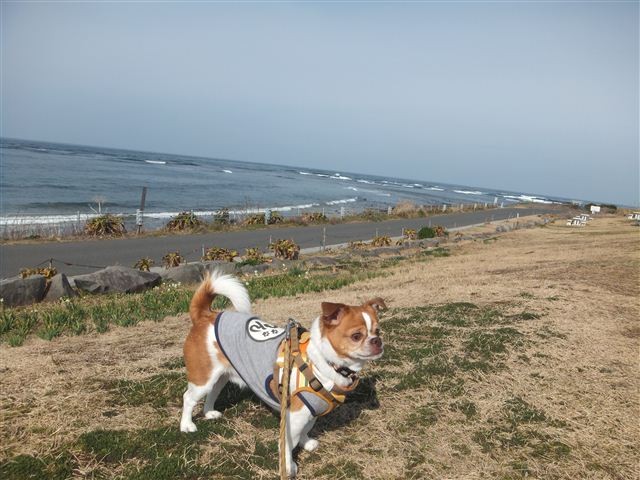 f:id:yasukazu01:20130203114945j:image f:id:yasukazu01:20130203114945j:image