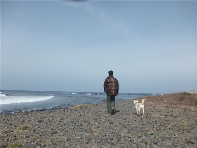f:id:yasukazu01:20130203115236j:image f:id:yasukazu01:20130203115236j:image