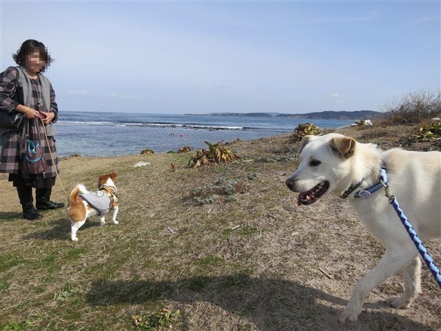 f:id:yasukazu01:20130203115410j:image f:id:yasukazu01:20130203115410j:image