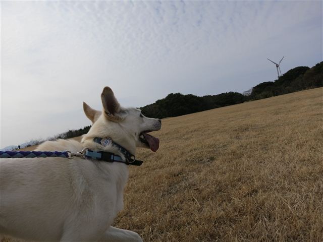 f:id:yasukazu01:20130203134432j:image