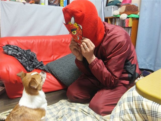 f:id:yasukazu01:20130203192022j:image