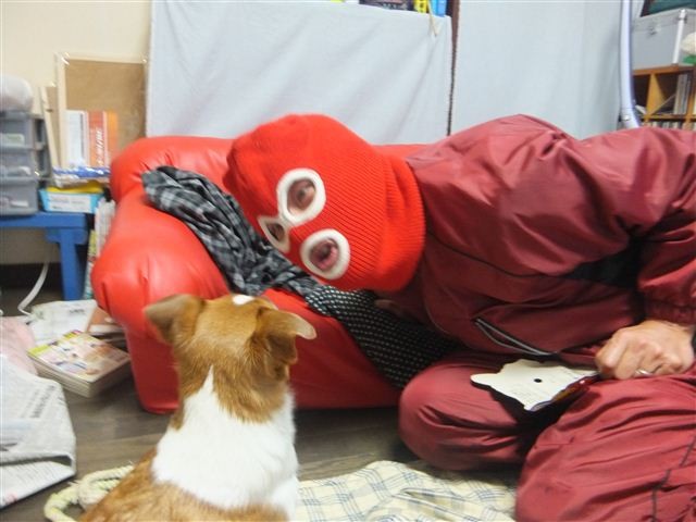 f:id:yasukazu01:20130203203835j:image