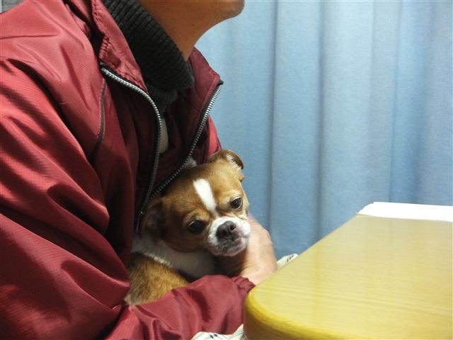f:id:yasukazu01:20130207205113j:image