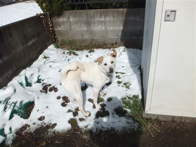 20130208203712