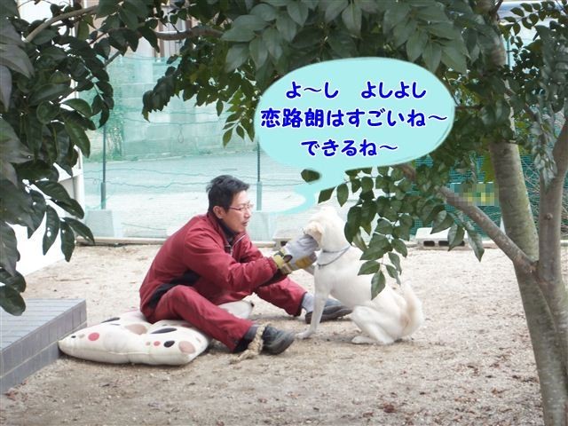 20130213122356