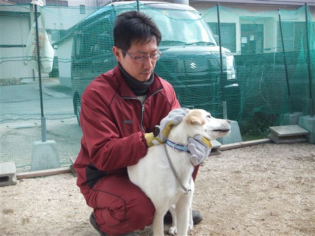 20130213124341