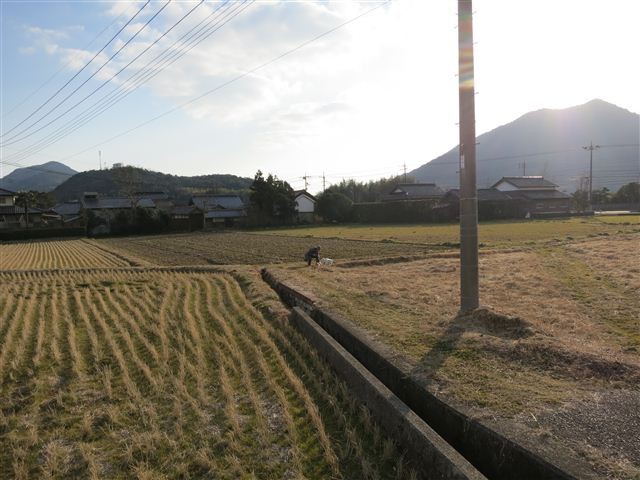 20130213162301