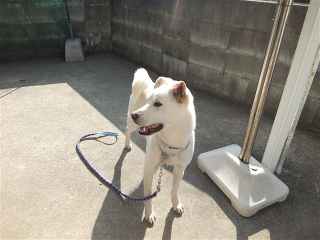 f:id:yasukazu01:20130213201745j:image