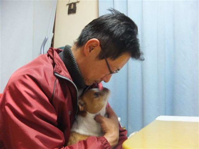 f:id:yasukazu01:20130213204859j:image