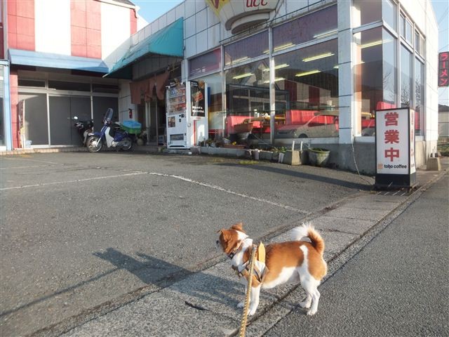 f:id:yasukazu01:20130227164609j:image