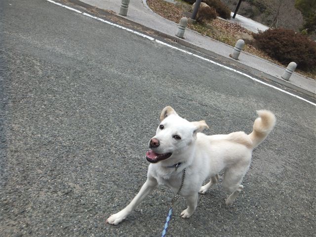 f:id:yasukazu01:20130227220355j:image