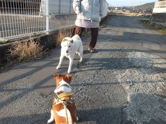 f:id:yasukazu01:20130227220358j:image