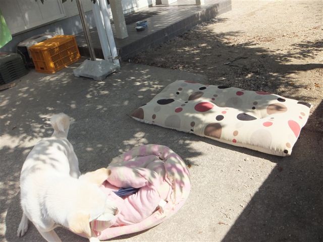 f:id:yasukazu01:20130228120957j:image