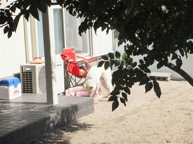 f:id:yasukazu01:20130228121046j:image