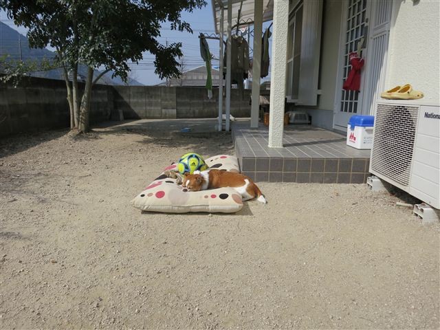 f:id:yasukazu01:20130308111033j:image