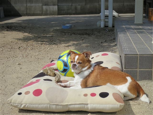 f:id:yasukazu01:20130308111114j:image