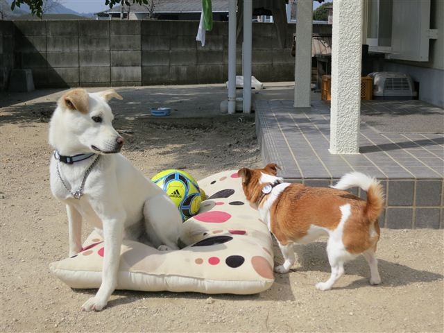 f:id:yasukazu01:20130308111349j:image