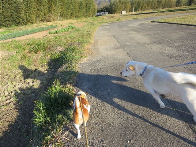 20130314170108