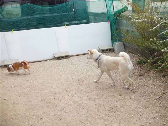 f:id:yasukazu01:20130320205733j:image