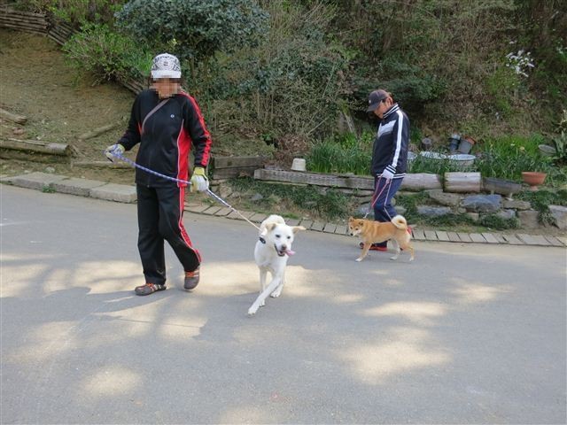 f:id:yasukazu01:20130331101019j:image f:id:yasukazu01:20130331101019j:image