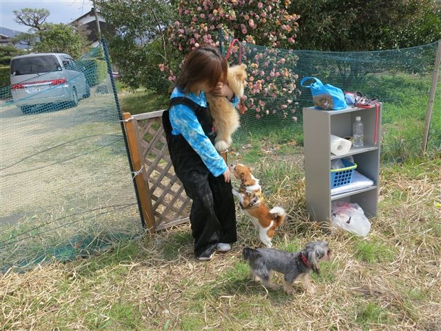 f:id:yasukazu01:20130331140659j:image