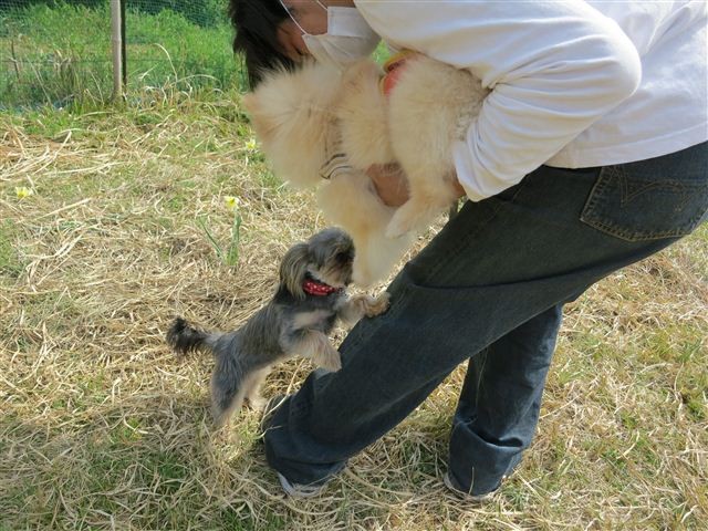 f:id:yasukazu01:20130331140711j:image
