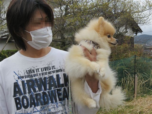 f:id:yasukazu01:20130331145033j:image
