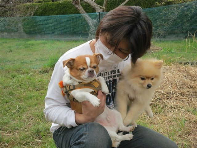 f:id:yasukazu01:20130331153028j:image