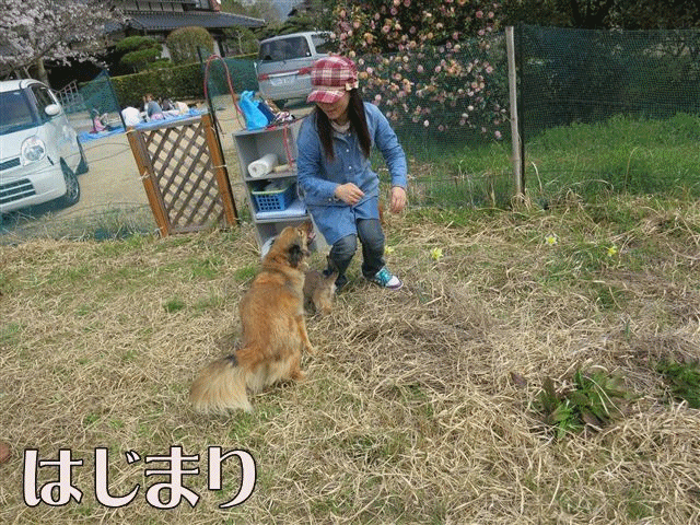 f:id:yasukazu01:20130405212101g:image