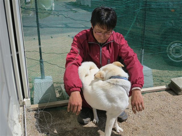 f:id:yasukazu01:20130407132427j:image