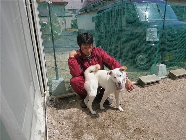 f:id:yasukazu01:20130407132501j:image