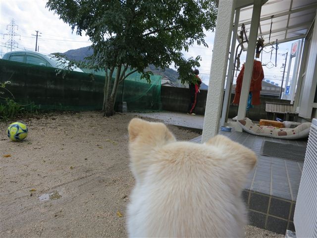 f:id:yasukazu01:20130407132647j:image