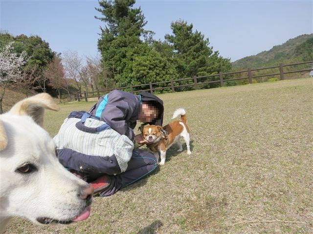 f:id:yasukazu01:20130409143209j:image