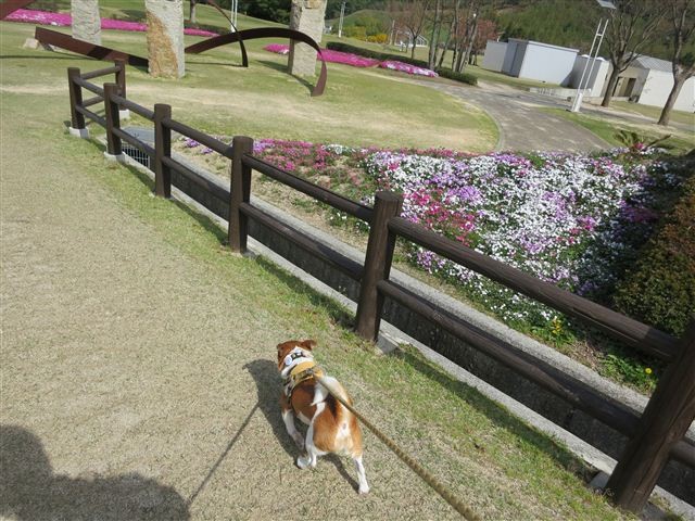 f:id:yasukazu01:20130409143910j:image