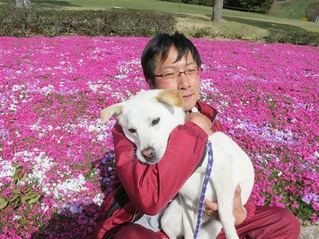 f:id:yasukazu01:20130409144028j:image