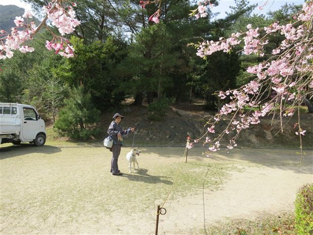 f:id:yasukazu01:20130409144336j:image