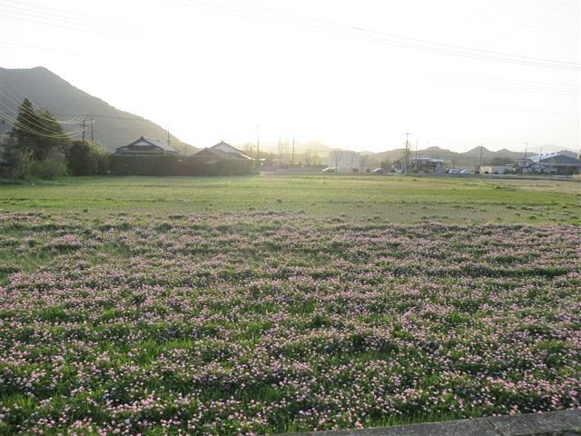 f:id:yasukazu01:20130409175534j:image